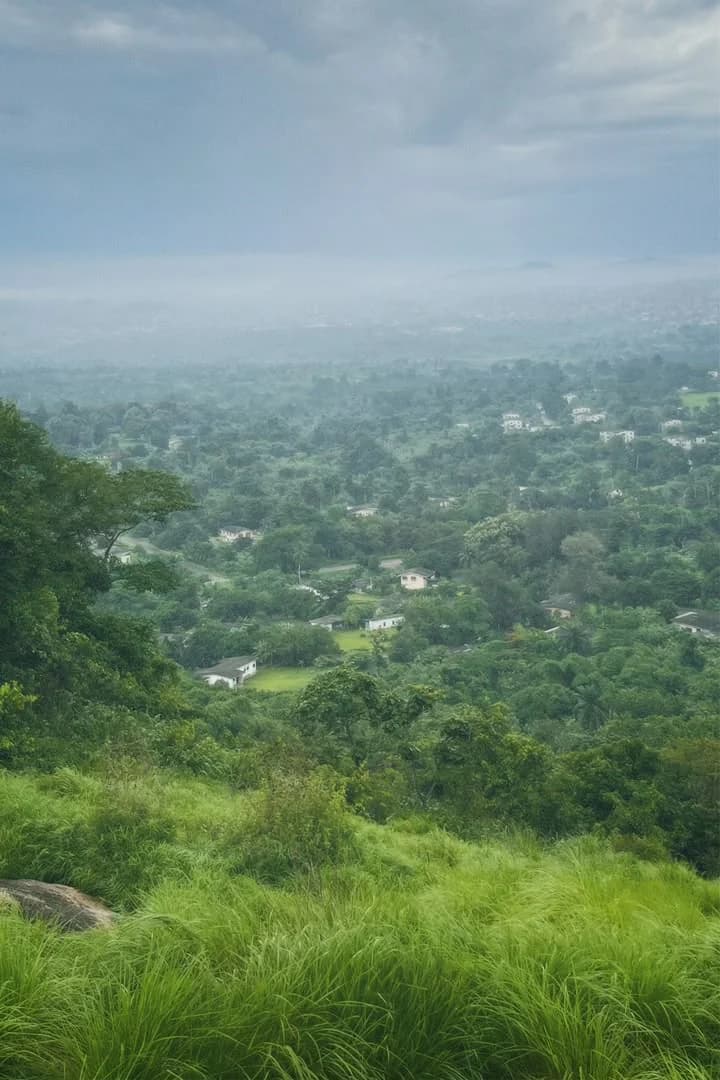 Green valley from above